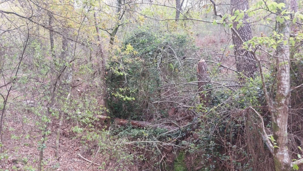 Terreno para Venda em Caldelas, Sequeiros e Paranhos Foto 8