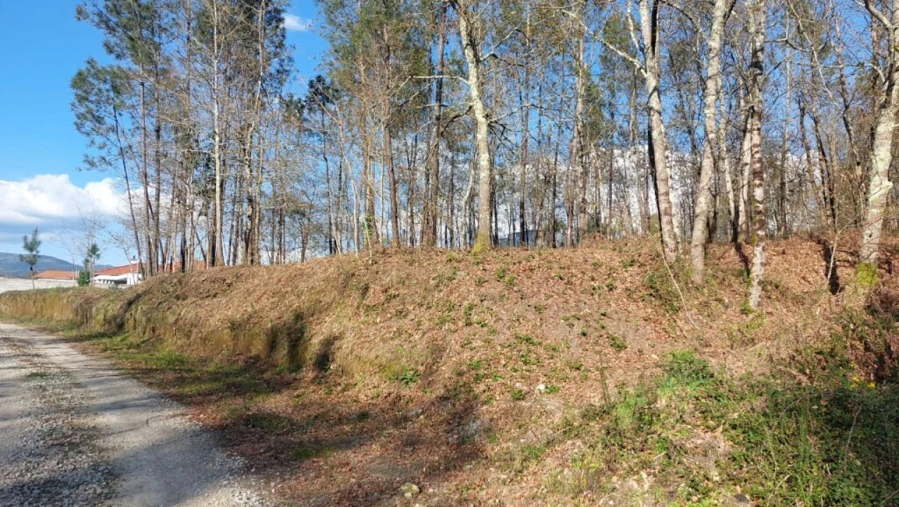 Terreno para Venda em Fiscal Foto 8