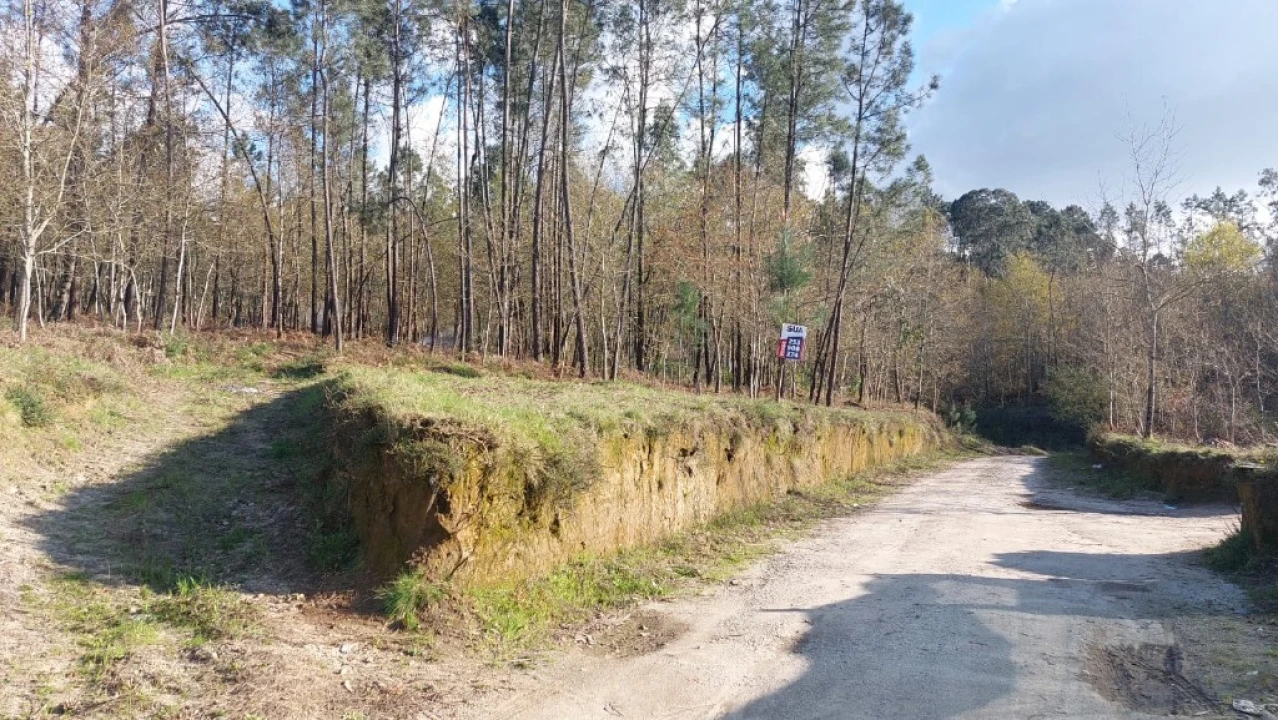 Terreno para Venda em Fiscal Foto 1