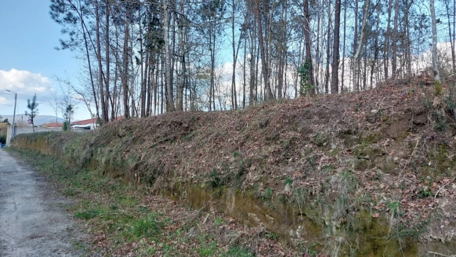 Terreno para Venda em Fiscal Foto 3