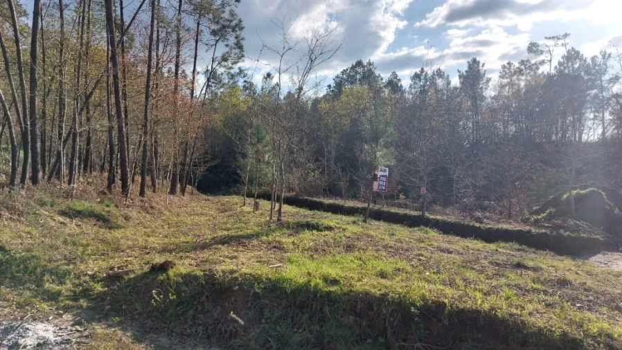 Terreno para Venda em Fiscal Foto 4