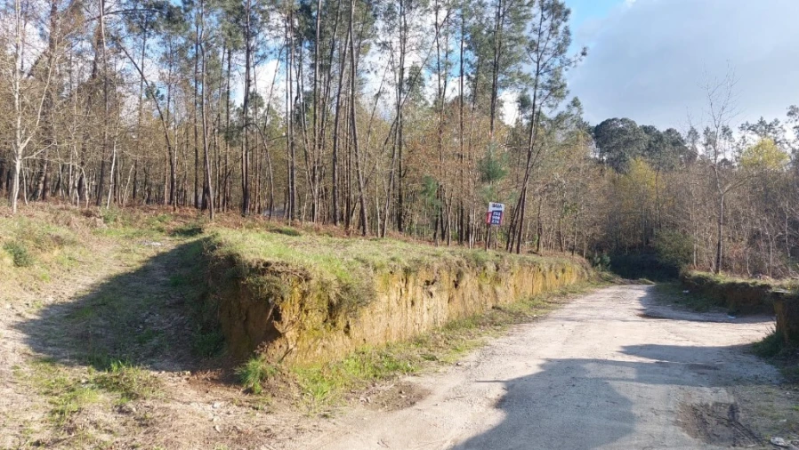 Terreno para Venda em Fiscal