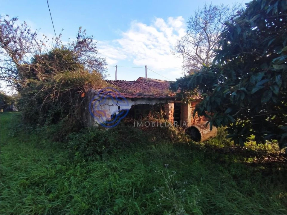 Moradia T3 para Venda em Serra e Junceira Foto 1