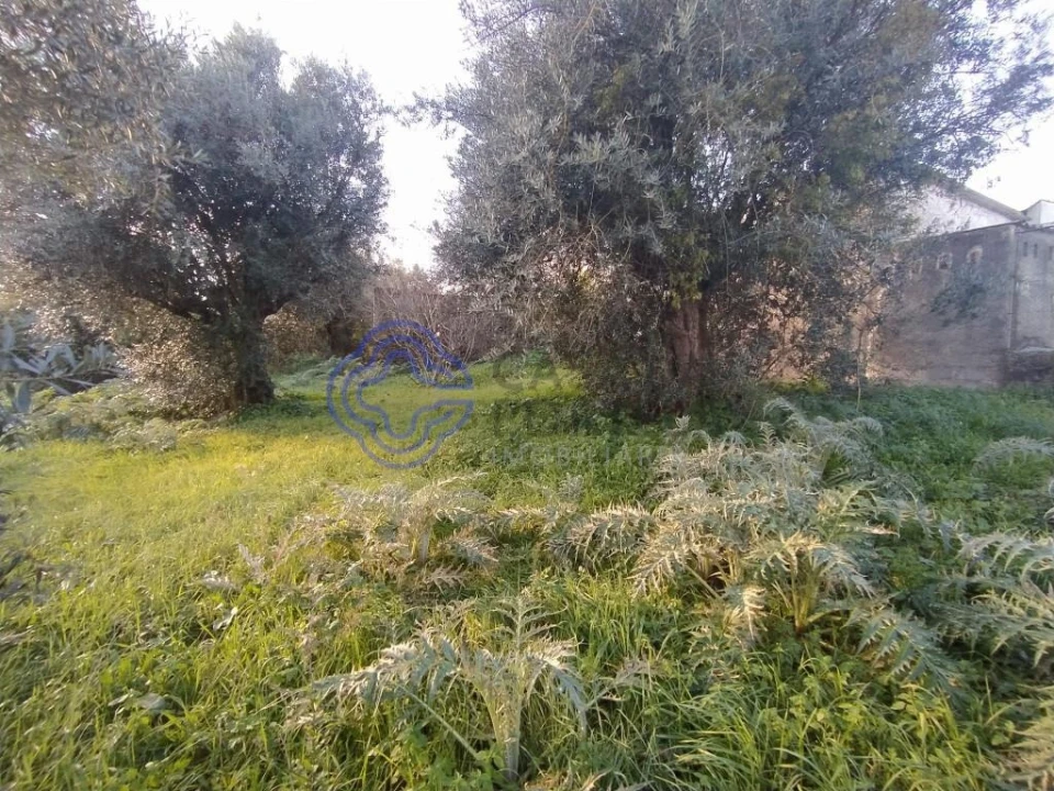 Moradia T3 para Venda em Serra e Junceira Foto 7