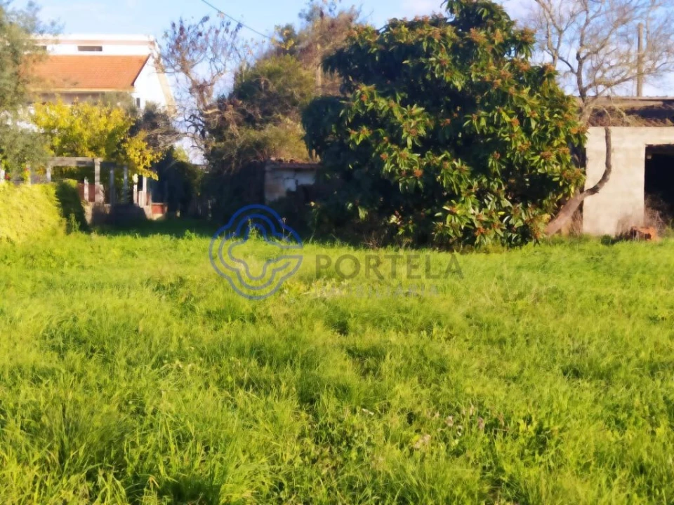 Moradia T3 para Venda em Serra e Junceira Foto 3