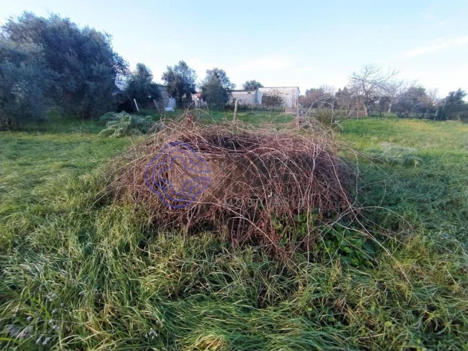 Moradia T3 para Venda em Serra e Junceira Foto 10