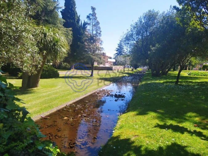 Moradia T3 para Venda em Serra e Junceira Foto 17