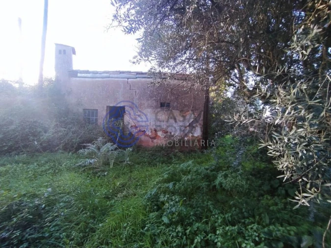 Moradia T3 para Venda em Serra e Junceira Foto 2