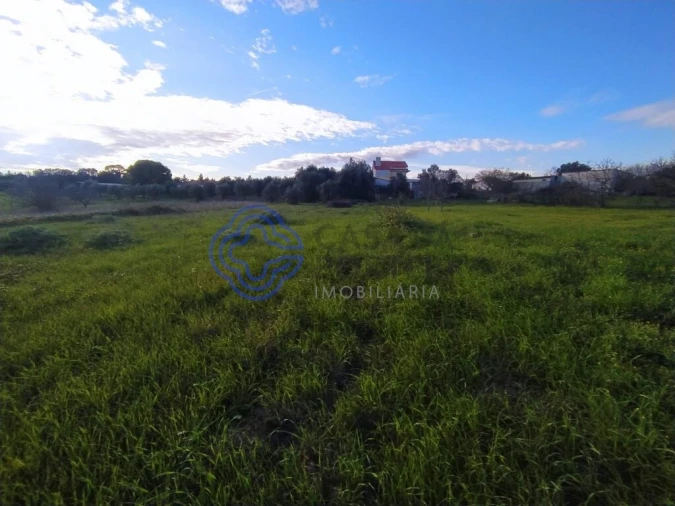 Moradia T3 para Venda em Serra e Junceira Foto 12