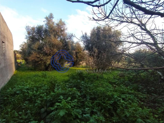 Moradia T3 para Venda em Serra e Junceira Foto 8