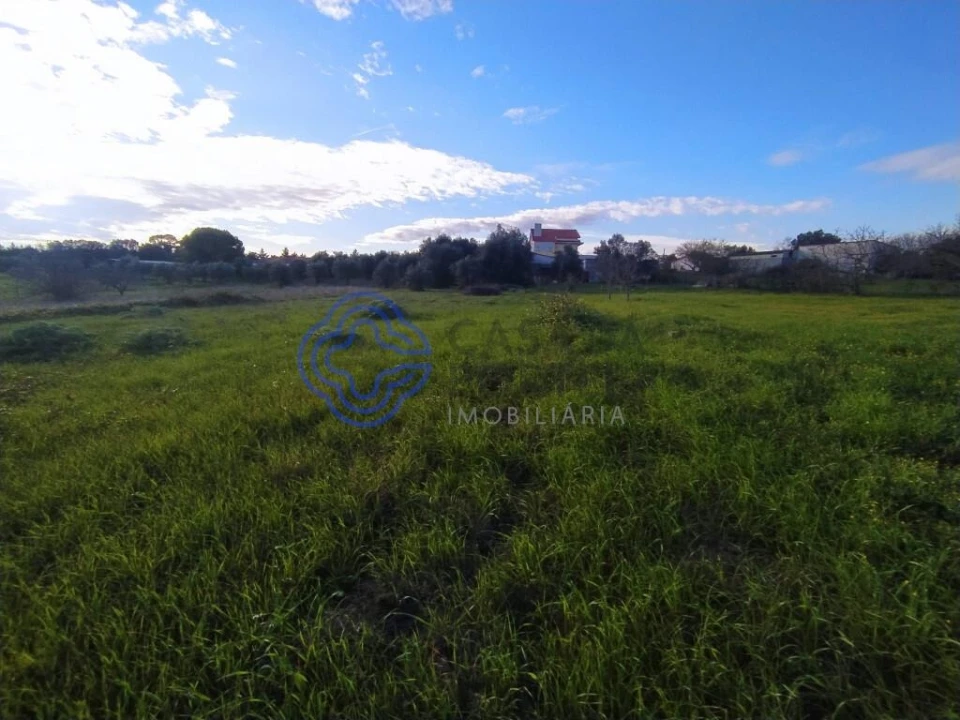 Moradia T3 para Venda em Serra e Junceira Foto 12