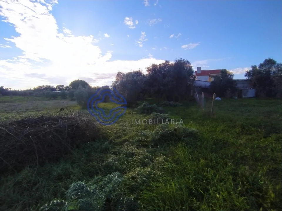 Moradia T3 para Venda em Serra e Junceira Foto 5