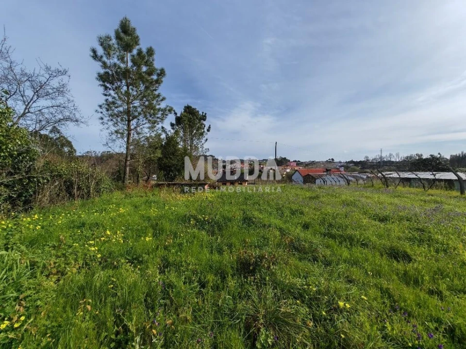 Terreno para Venda em São João de Loure e Frossos Foto 1
