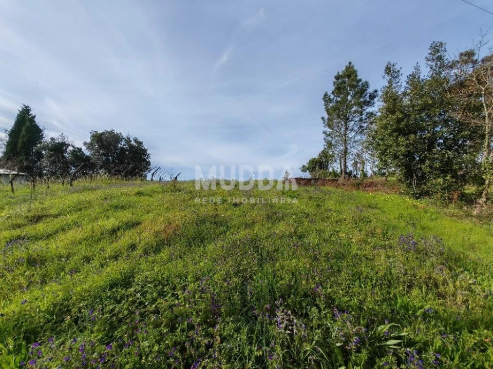 Terreno para Venda em São João de Loure e Frossos Foto 4