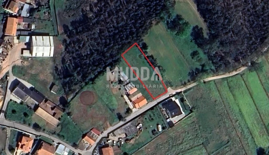 Terreno para Venda em São João de Loure e Frossos Foto 5
