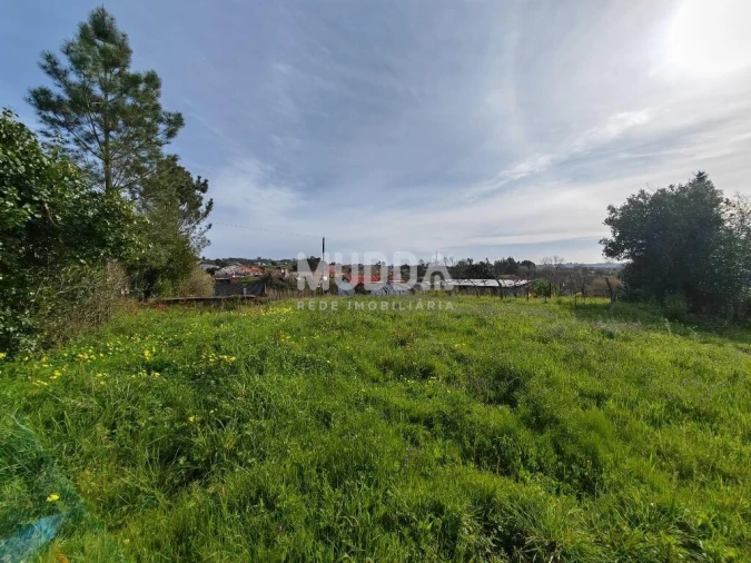Terreno para Venda em São João de Loure e Frossos Foto 6