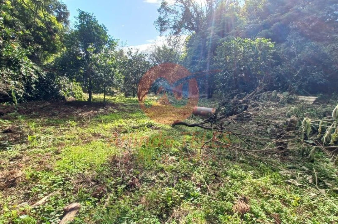 Moradia T2 para Venda em Calheta Foto 28