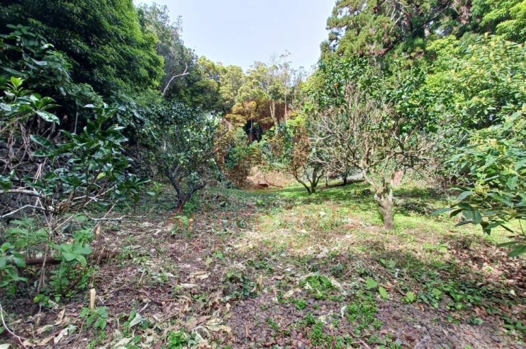 Moradia T2 para Venda em Calheta Foto 27