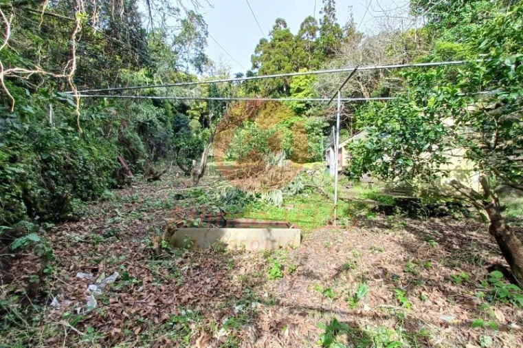 Moradia T2 para Venda em Calheta Foto 26