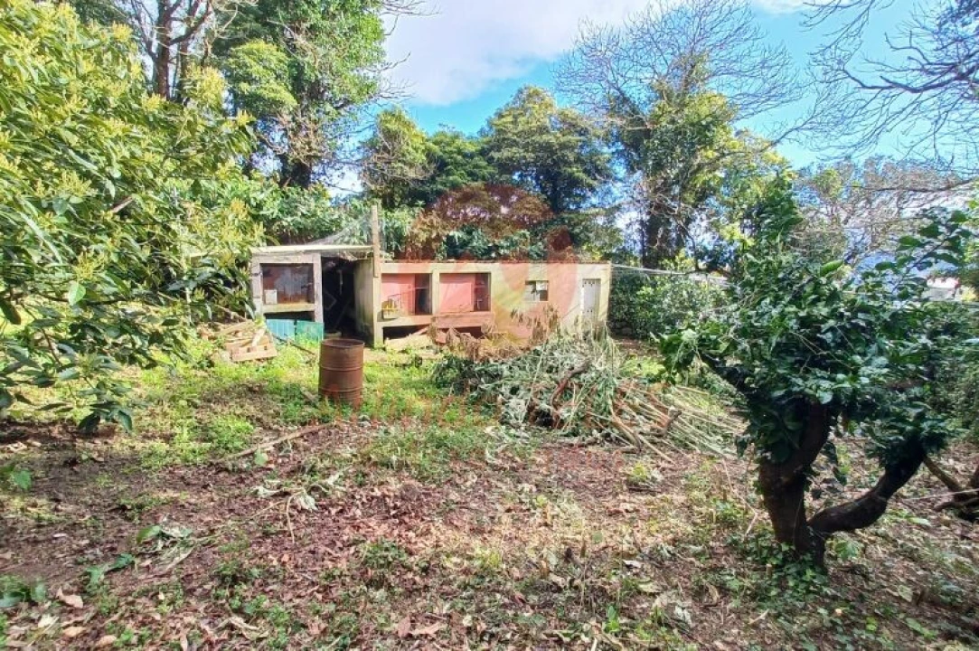 Moradia T2 para Venda em Calheta Foto 30