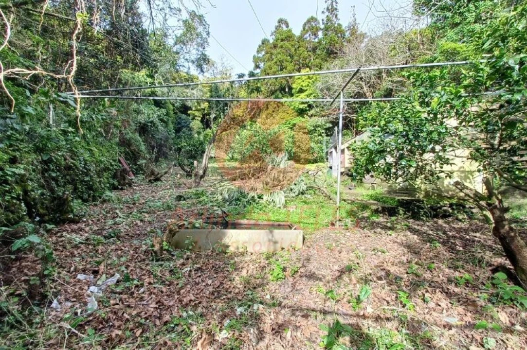 Moradia T2 para Venda em Calheta Foto 26