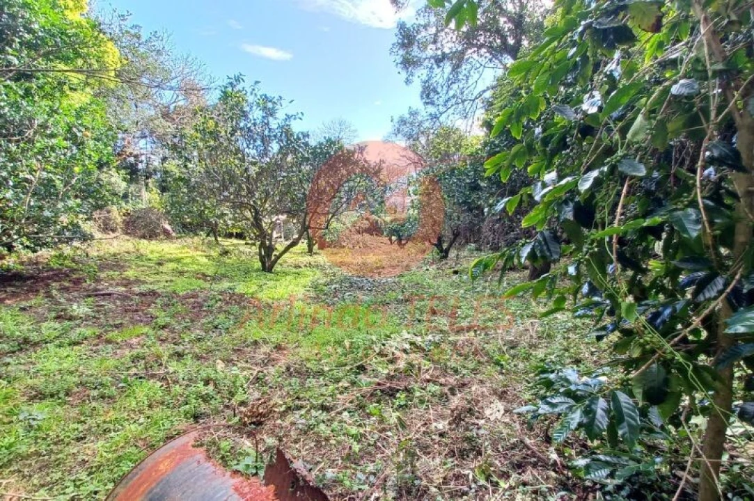 Moradia T2 para Venda em Calheta Foto 29