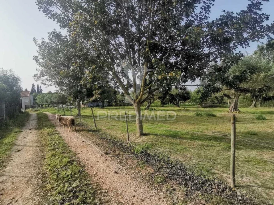 Moradia T4 para Venda em Paialvo Foto 9