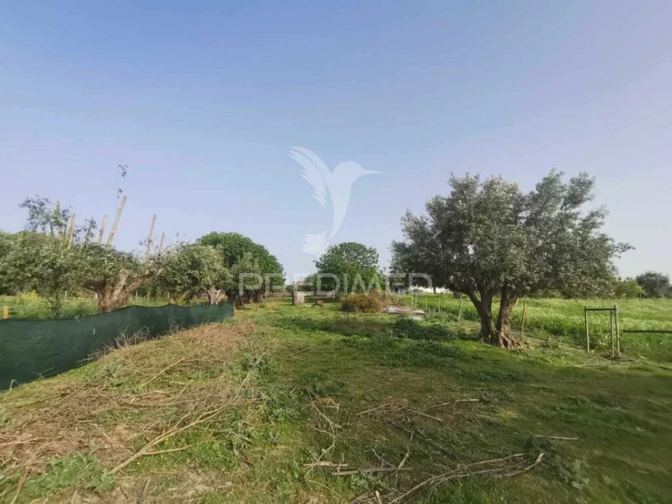 Moradia T4 para Venda em Paialvo Foto 15