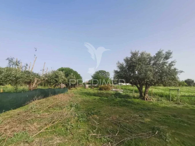 Moradia T4 para Venda em Paialvo Foto 15