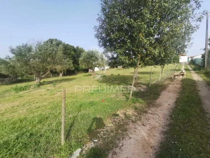 Moradia T4 para Venda em Paialvo Foto 10