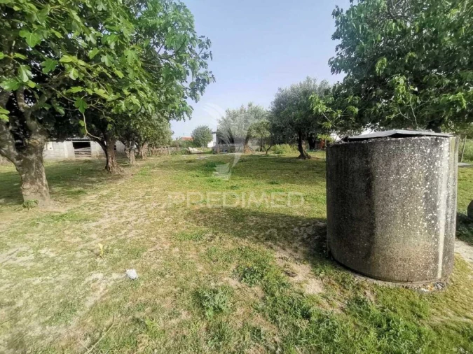 Moradia T4 para Venda em Paialvo Foto 14