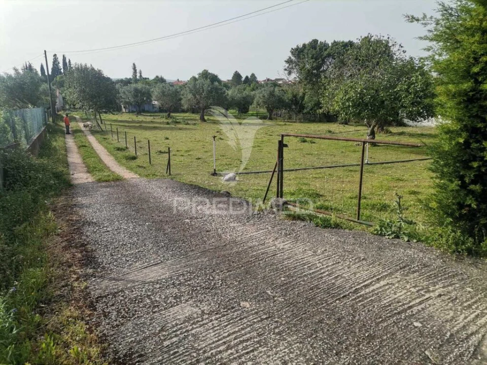 Moradia T4 para Venda em Paialvo Foto 6