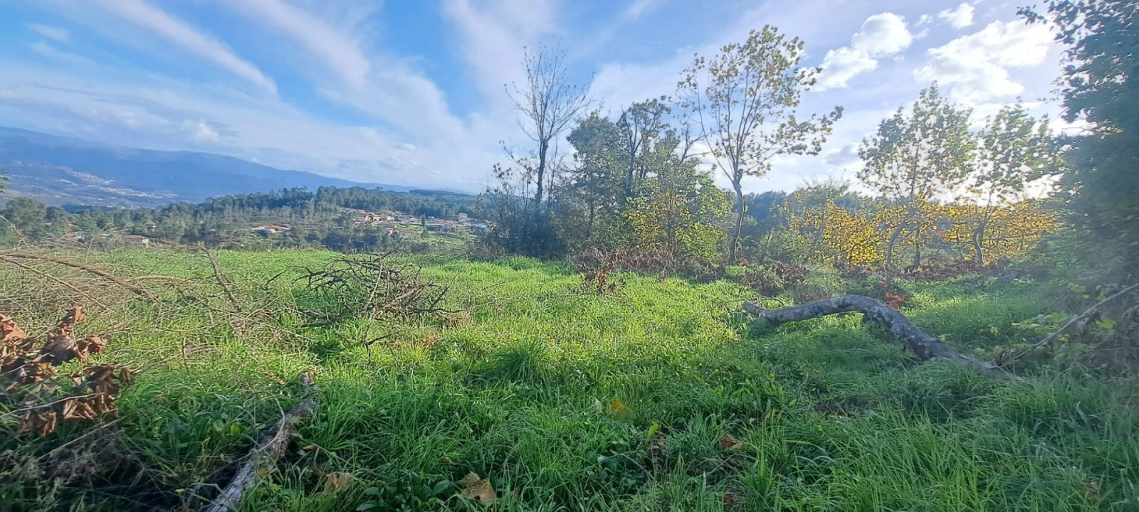 Moradia T2 para Venda em Ribas Foto 11