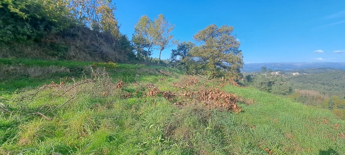 Moradia T2 para Venda em Ribas Foto 10