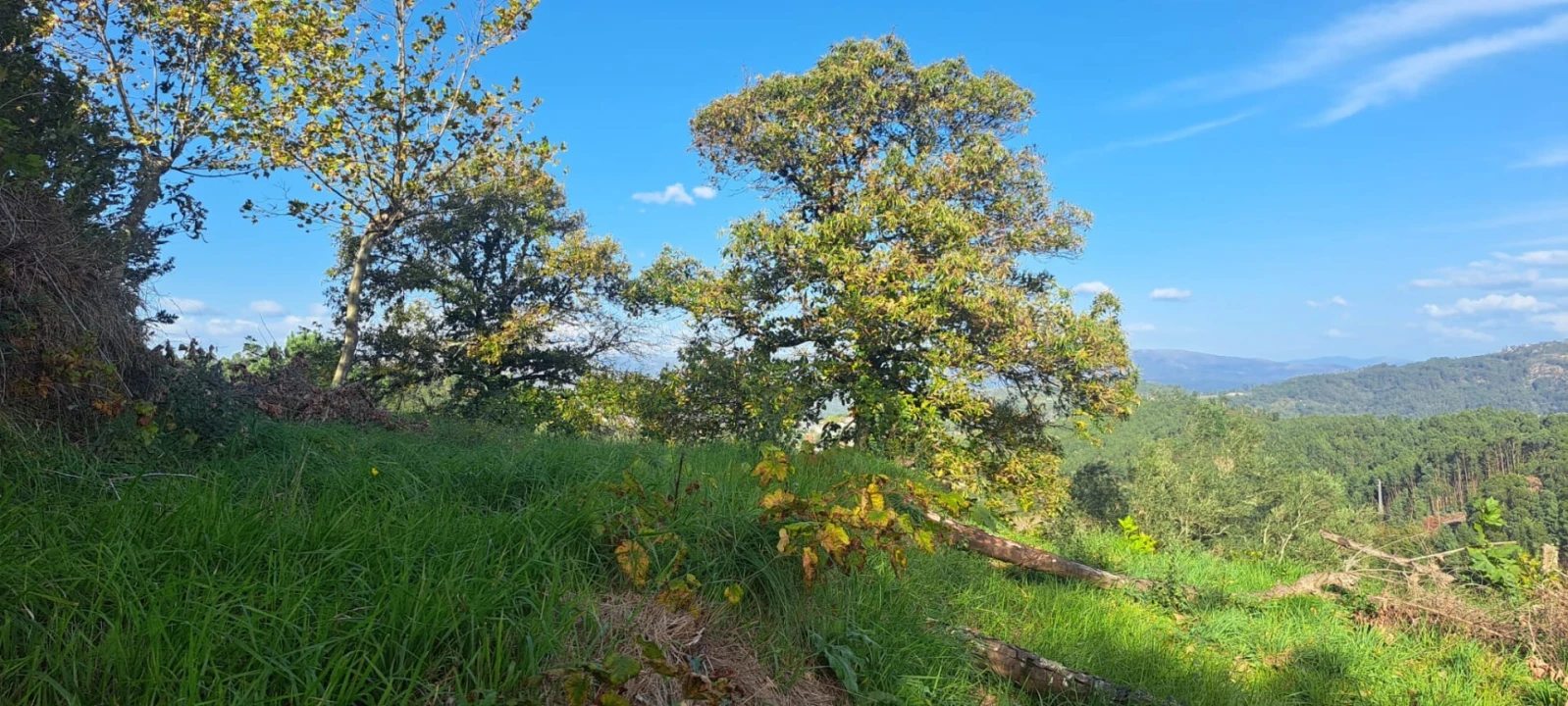 Moradia T2 para Venda em Ribas Foto 17