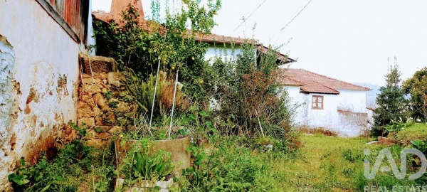Moradia T3 para Venda em Faia