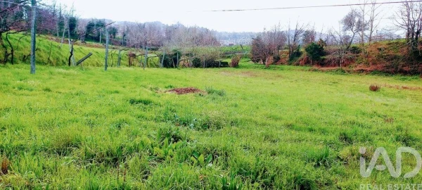 Moradia T3 para Venda em Faia