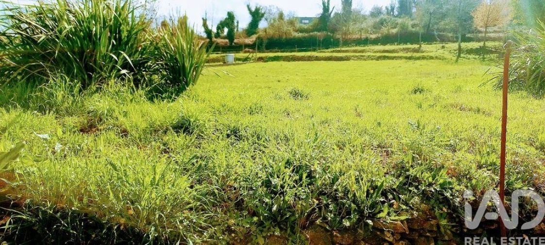 Moradia T3 para Venda em Faia Foto 25