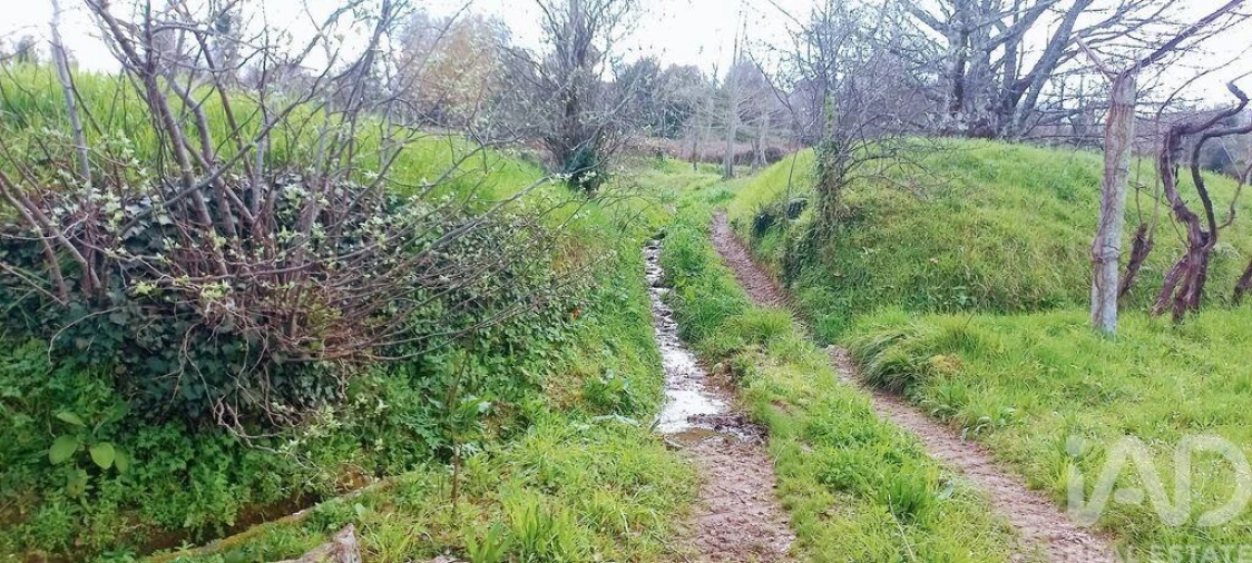 Moradia T3 para Venda em Faia Foto 20