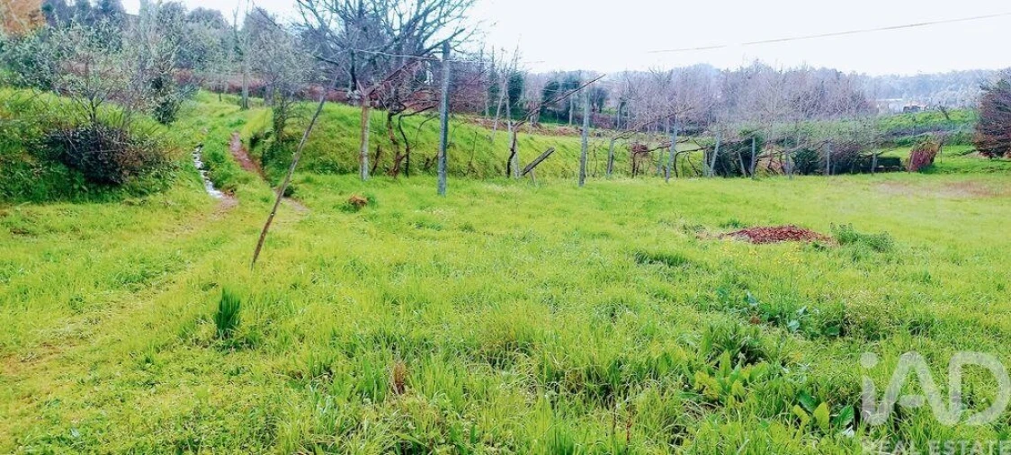 Moradia T3 para Venda em Faia Foto 21