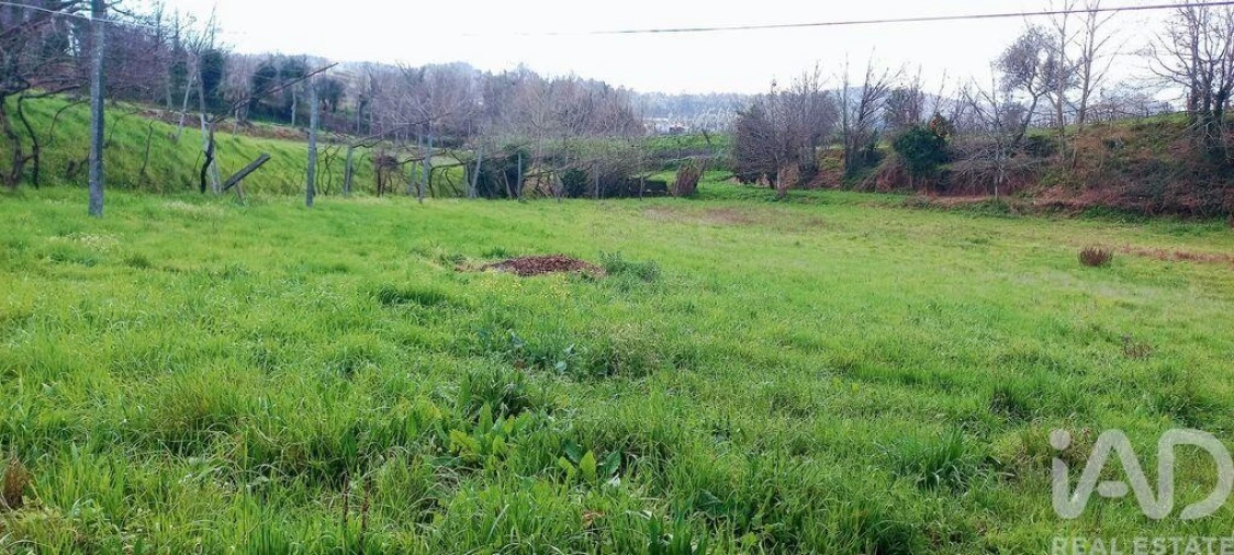 Moradia T3 para Venda em Faia Foto 19