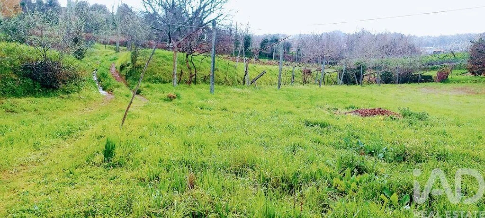 Moradia T3 para Venda em Faia Foto 21