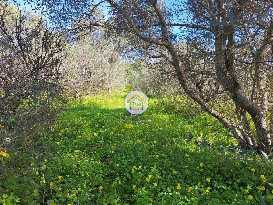 Terreno para Venda em Quarteira Foto 10