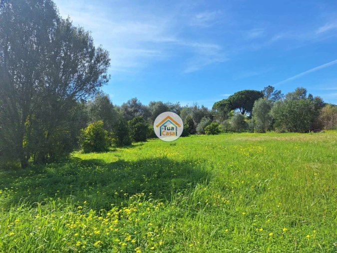 Terreno para Venda em Quarteira Foto 15