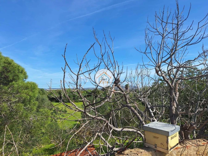 Terreno para Venda em Quarteira Foto 9