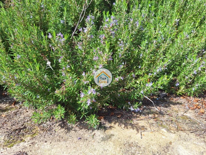 Terreno para Venda em Quarteira Foto 11