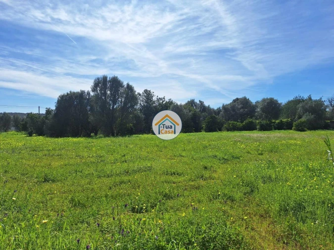 Terreno para Venda em Quarteira