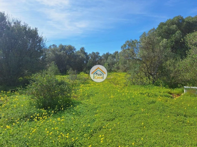 Terreno para Venda em Quarteira Foto 17