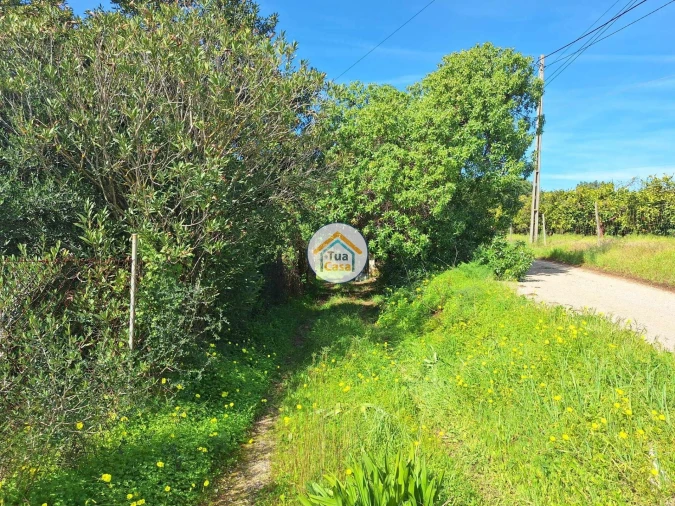 Terreno para Venda em Quarteira Foto 14