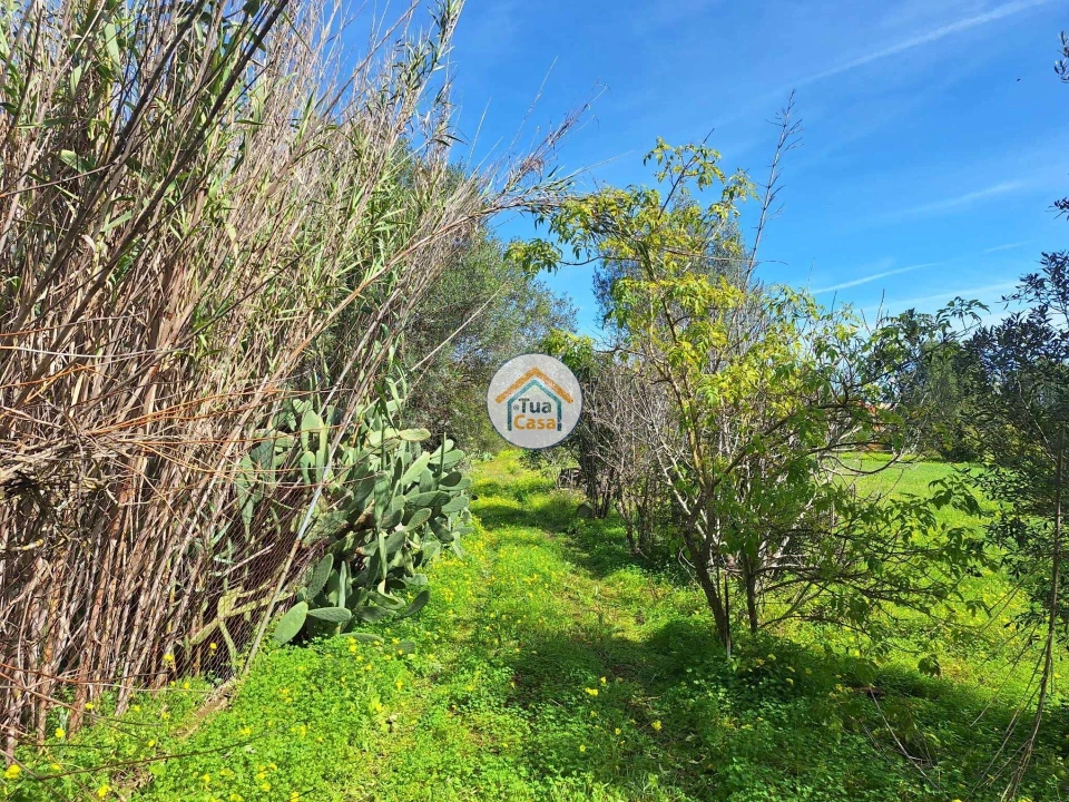 Terreno para Venda em Quarteira Foto 19